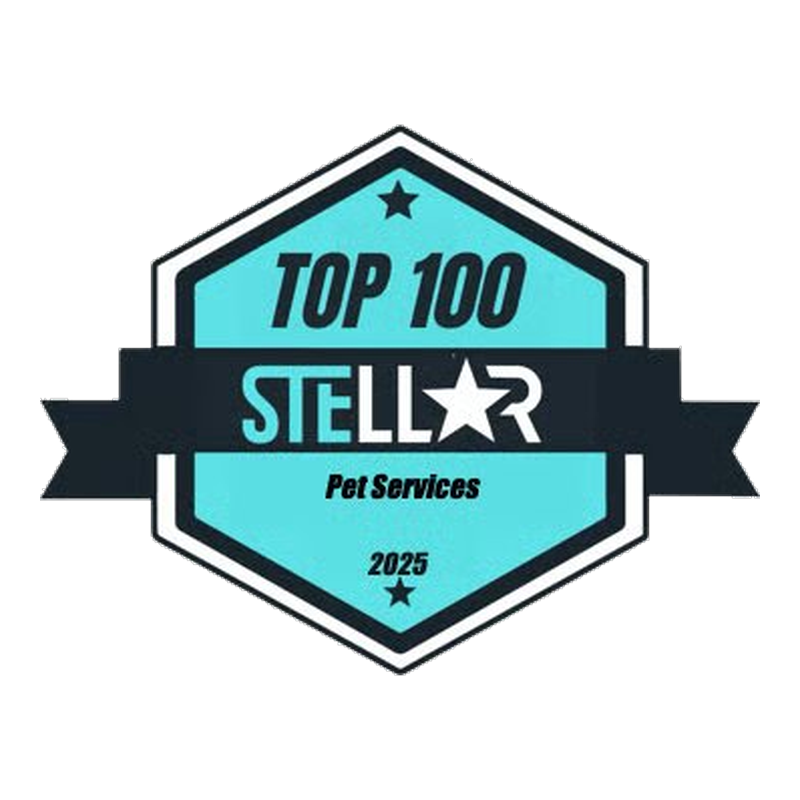 Best Pet Services in Boston 2025