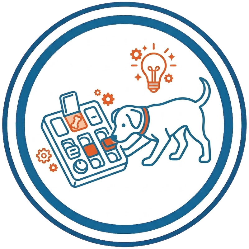 Enrichment Activities